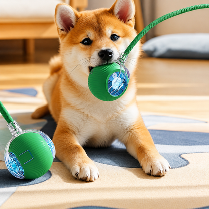 SmartPaws - Inteligentna Piłeczka