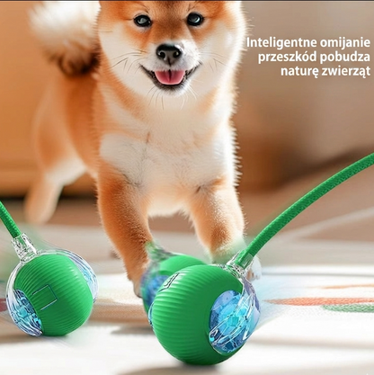 SmartPaws - Inteligentna Piłeczka