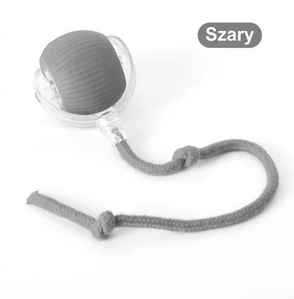 SmartPaws - Inteligentna Piłeczka